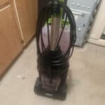 carpet cleaners for a dog in home