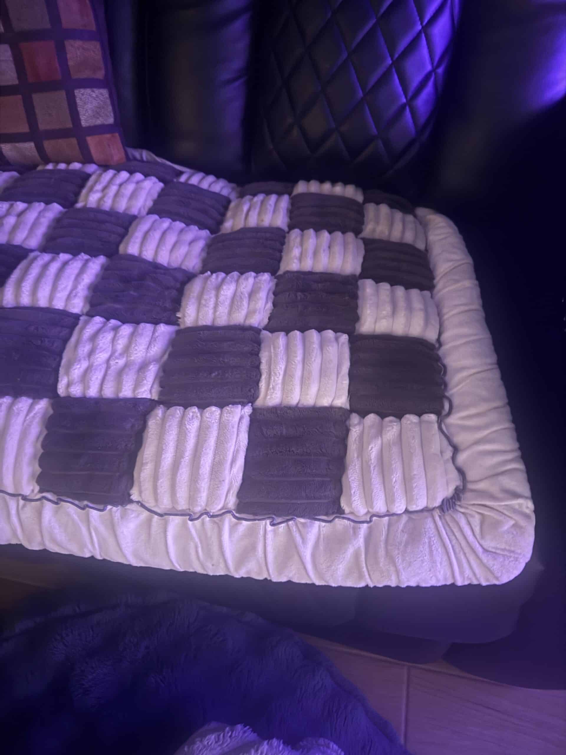 Couch Cover vs Dog Blanket for the Sofa: Which One Actually Protects