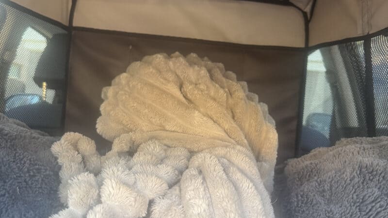 dog bed and blanket in kennel in SUV