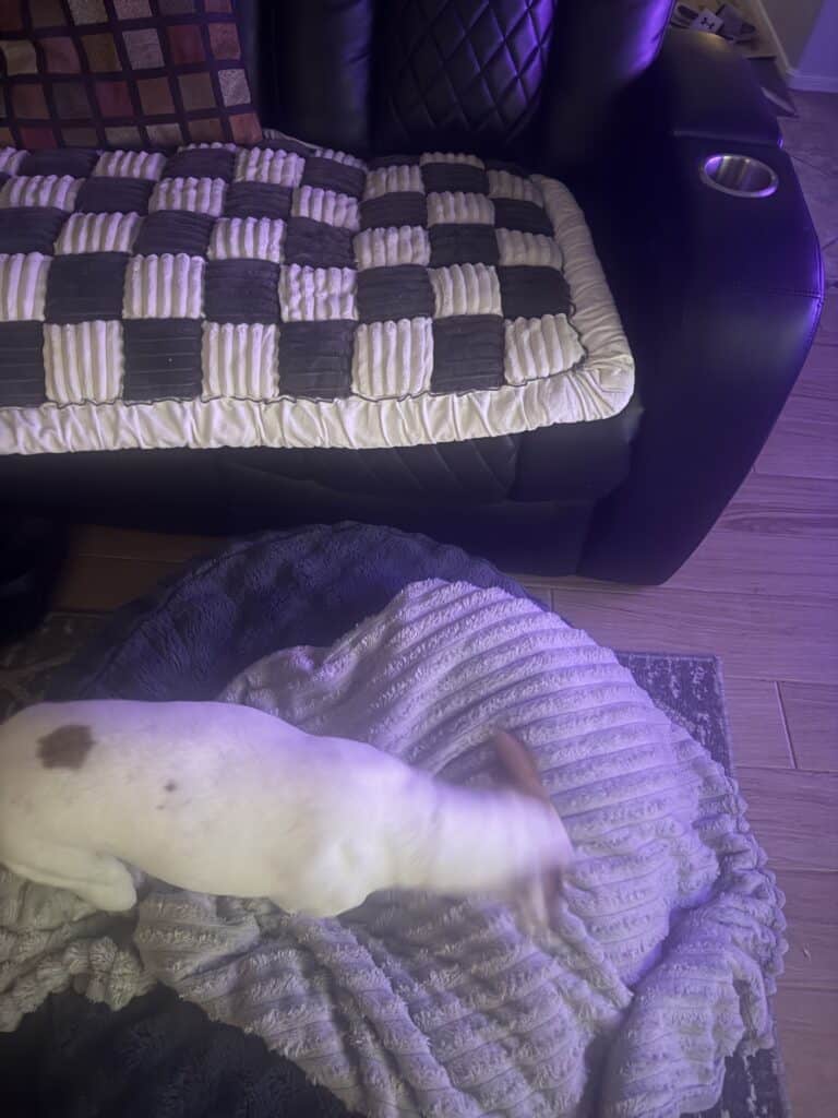 a dog bed and a couch cover next to each other
