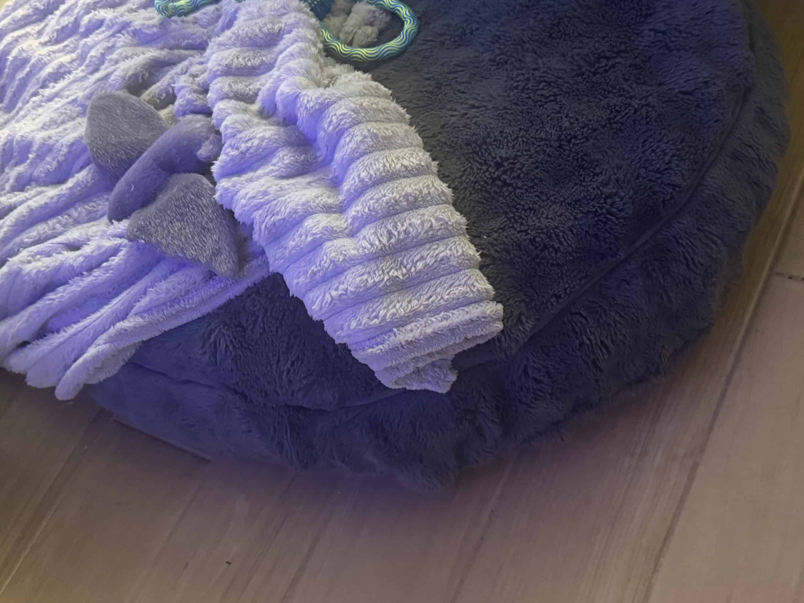 How to Stop a Dog Bed From Sliding: The Floor Decides, Not the Bed
