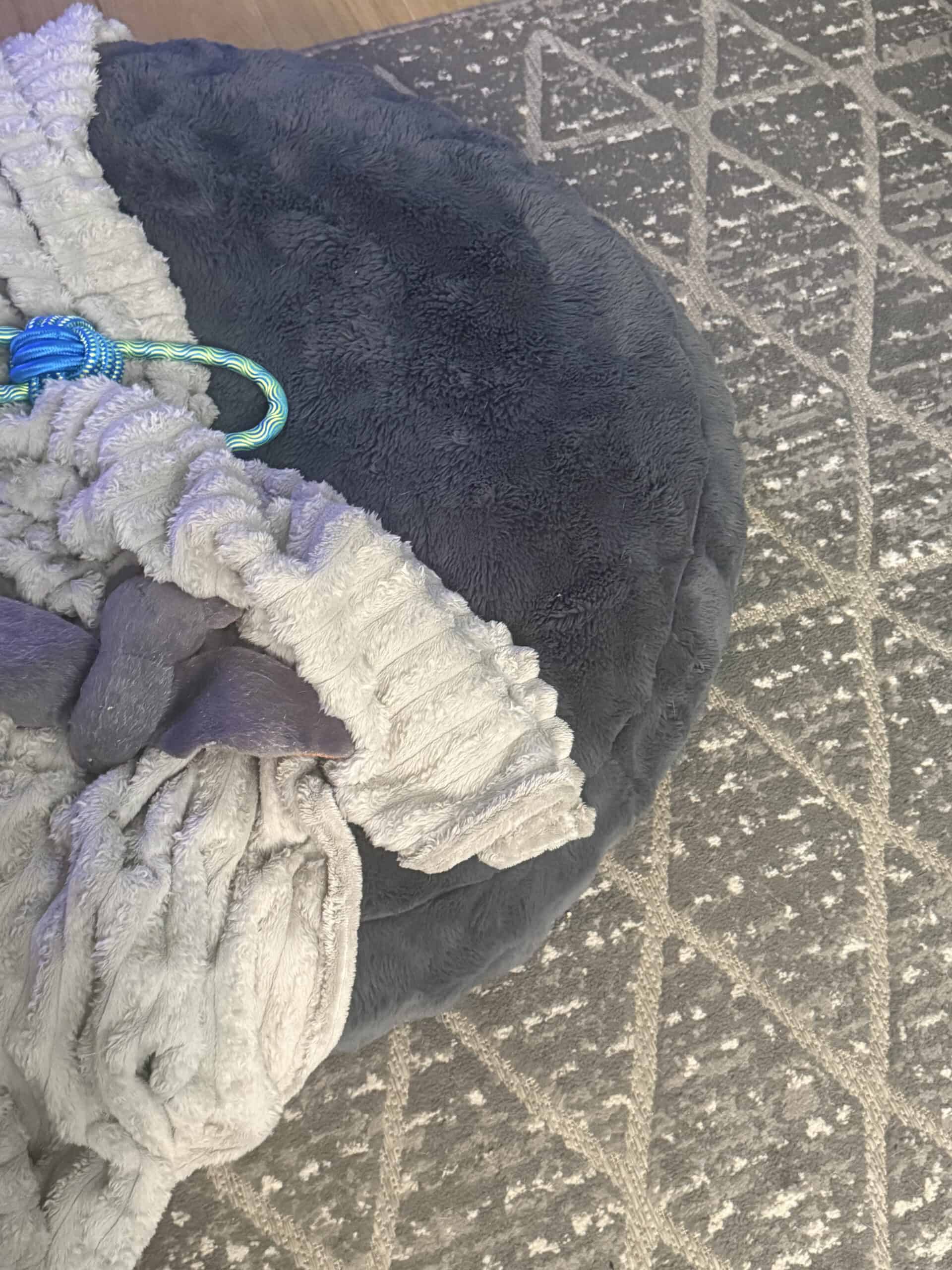 What Goes Under a Dog Bed: Mats, Rugs, and Hard Floor Options