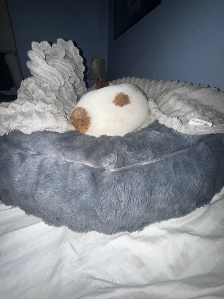 a dog laying on a dog bed on mattress