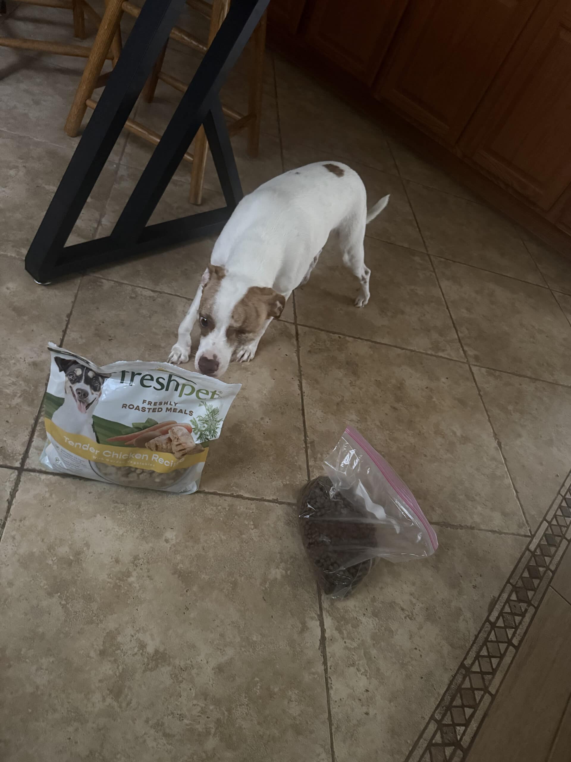 How Much Should a 25 Pound Dog Eat: Why the Bag Is a Starting Point