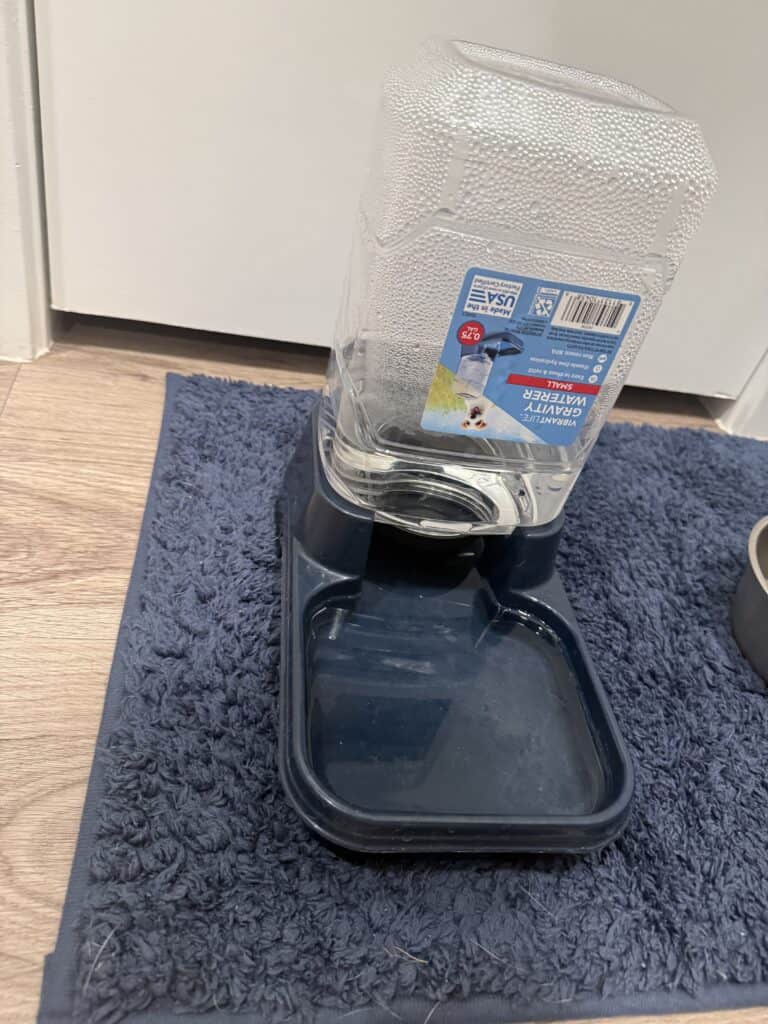 a gravity bowl for home water hydration