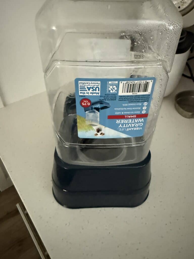 a gravity bowl for dog hydration