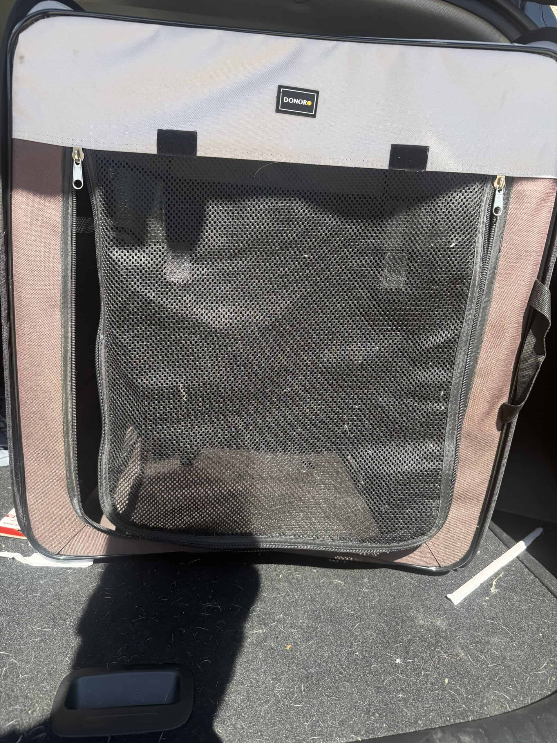 Where Should You Put a Dog Crate: Wherever the Dog Actually Settles