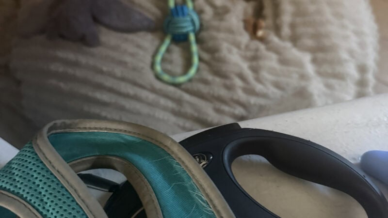 a leash and harness by a dog bed with toys and treats on it