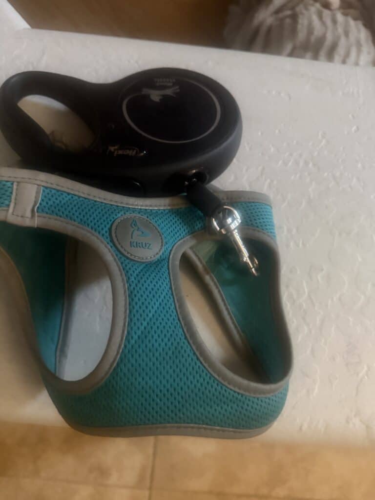 mesh harness next to leash