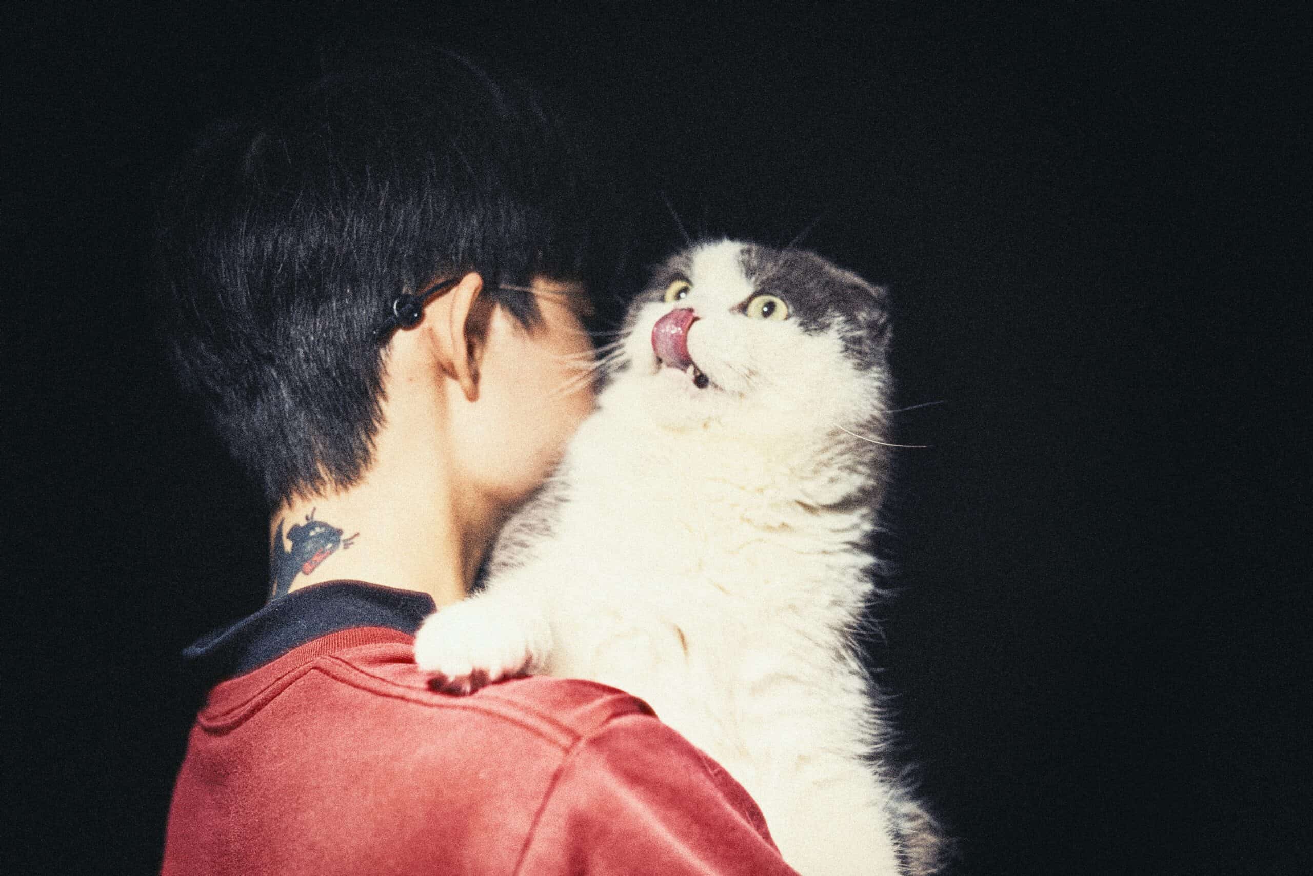 Why Does My Cat Lick Me: Grooming, Bonding, and the Sandpaper Tongue