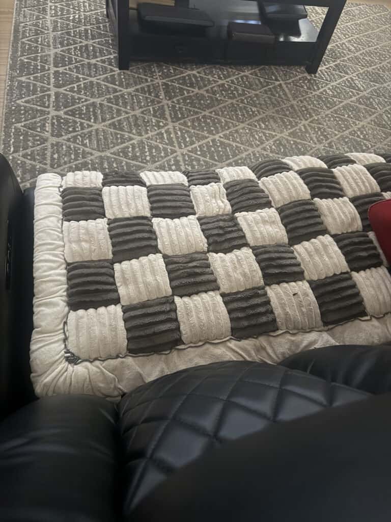 a couch cover at home for a dog