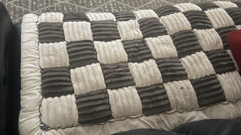 a couch cover at home for a dog