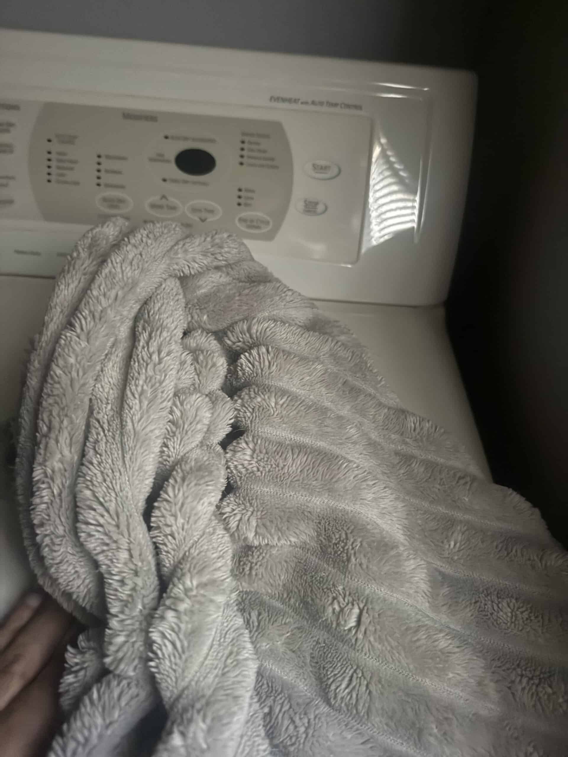 Can You Put a Dog Blanket in the Dryer: What Survives the Heat and What Shrinks