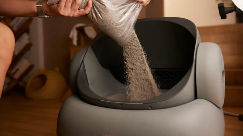a cat home litterbox