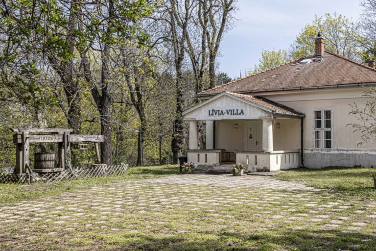 Kincsesdoboz a Svábhegyen – a Lívia-villa története