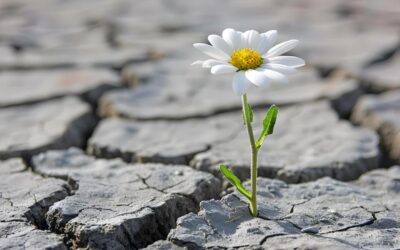 Food, Fertiliser, Semi-Conductors and Helium