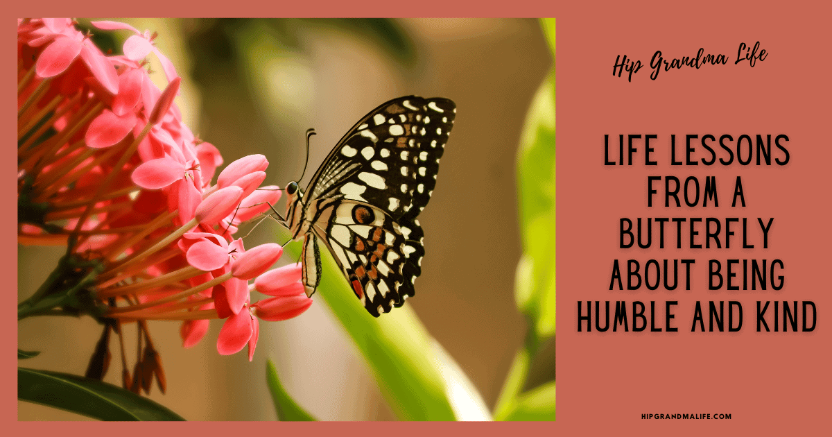 AD image for a Butterfly Story post with a butterfly on an orange flower with the title