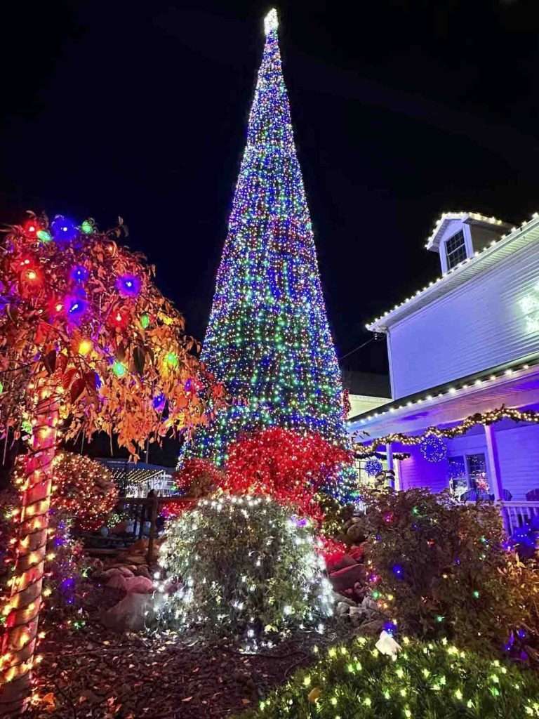 Colorful Christmas tree with vibrant LED lights decorating a festive outdoor garden scene at night.