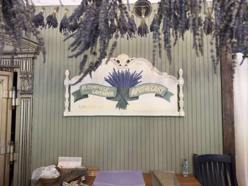 Bloomfield Lavender Apothecary sign with bundles of lavender hanging from the ceiling in LaGrange, Indiana.