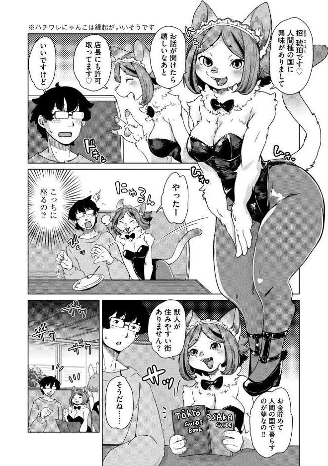 獣人アパート常春荘へようこそ！【完全版】