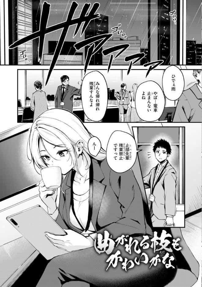 艶色シークレット【デジタル版限定おまけ付き】