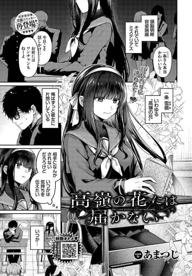 高嶺の花には届かない
