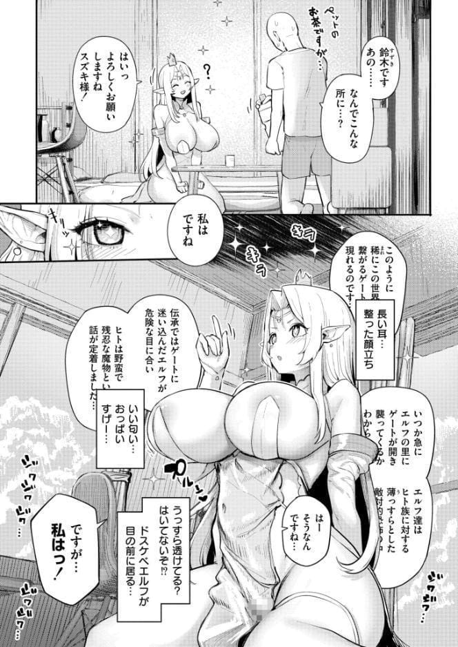 いつでも使えるエルフの穴