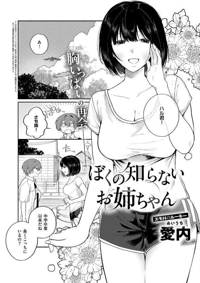 ぼくの知らないお姉ちゃん