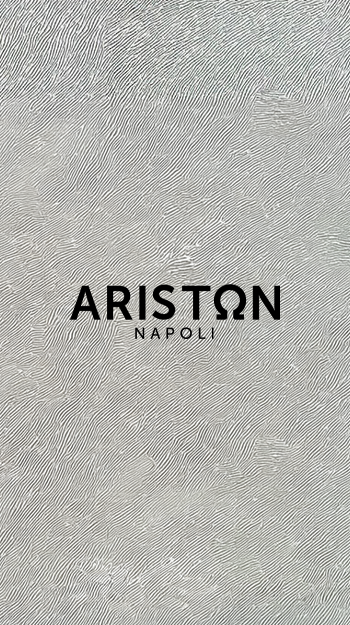 Close-up of Ariston Napoli fabric texture for upholstery and drapery.