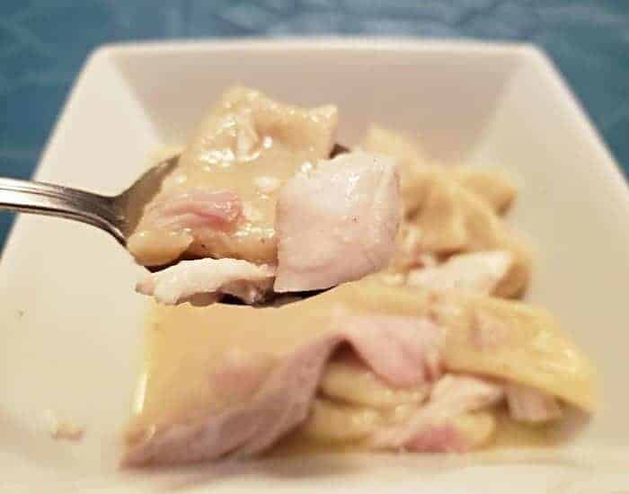 Spoon of chicken and dumplings