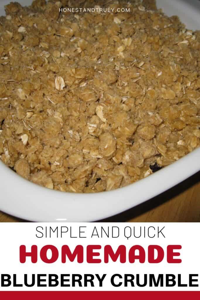 Image shows close-up picture of the toppings of blueberry crumble.