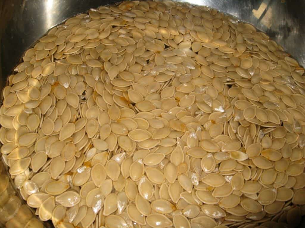 Image shows pumpkin seeds.