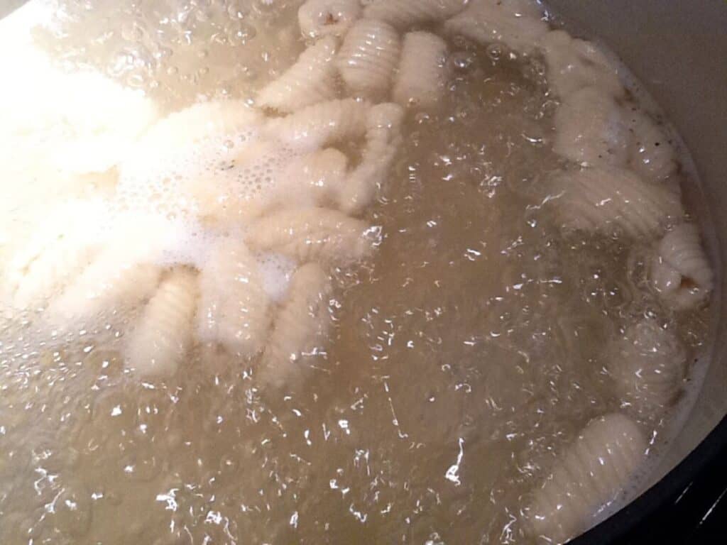 Image shows rolled homemade orecchiette boiled.