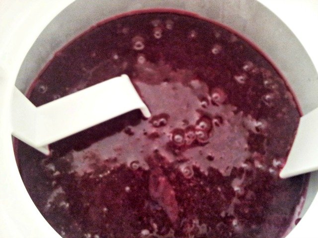 Fully chill your sorbet base before adding to your ice cream maker