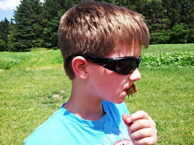 Mister Man Strawberry Eater