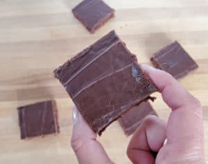 Single Texas sheetcake brownie