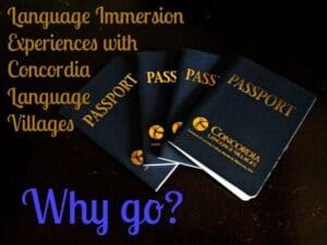 Reasons to attend Concordia Language Villages in one of their 15 different language immersion programs