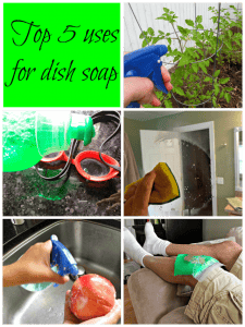 Top 5 uses for dish soap #Palmolive25Ways #shop