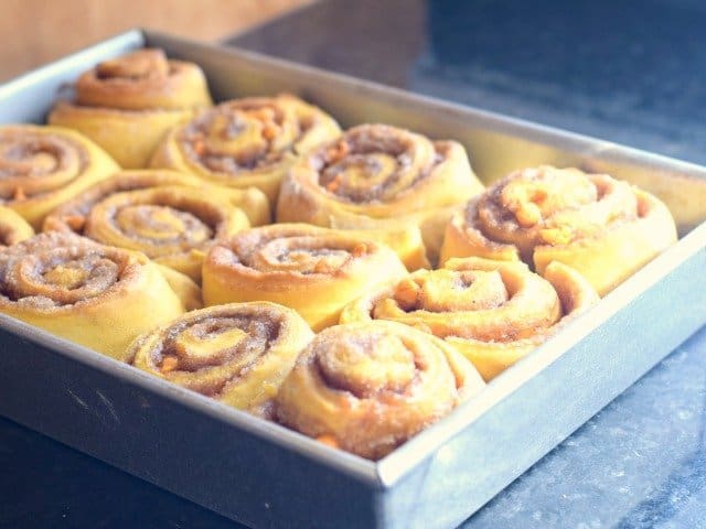 Baked cinnamon pumpkin rolls