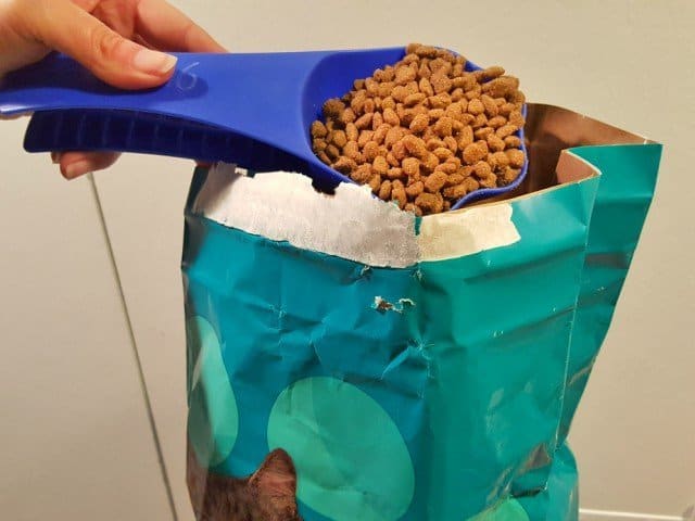 Scoop of IAMS dry cat food