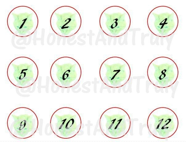 Free printable DIY Pet Advent Calendar