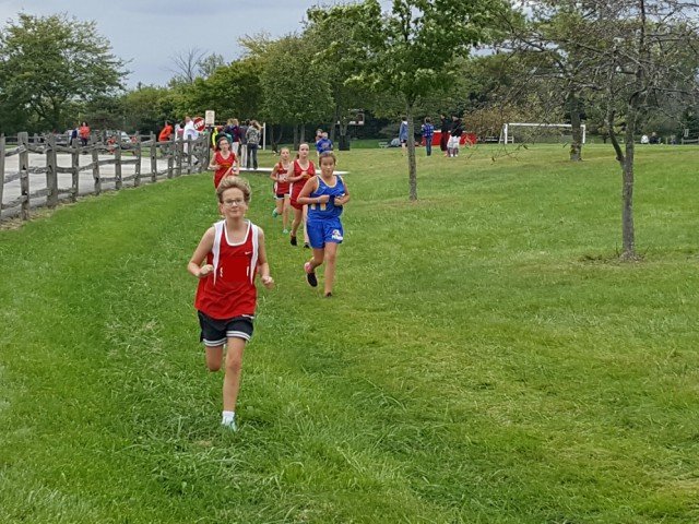 Little Miss running cross country