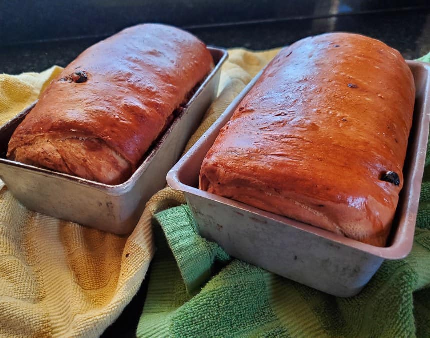 Two loaves of bread in the pans