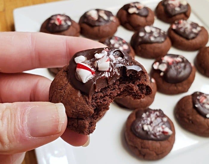 Bite of chocolate peppermint cookie