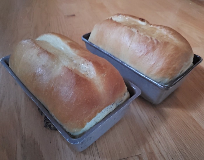 Sandwich bread loaves