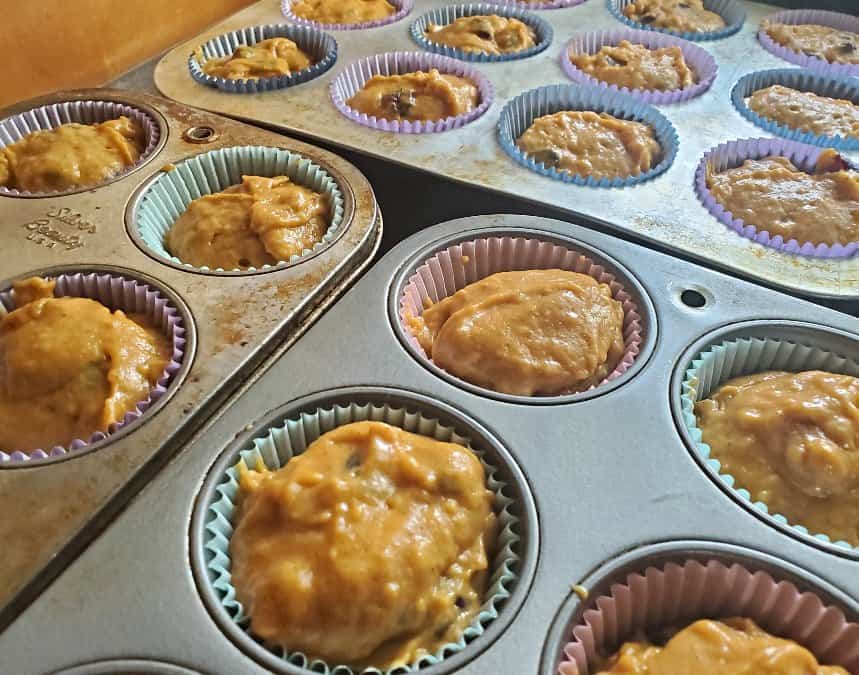 muffin tins with pumpkin batter