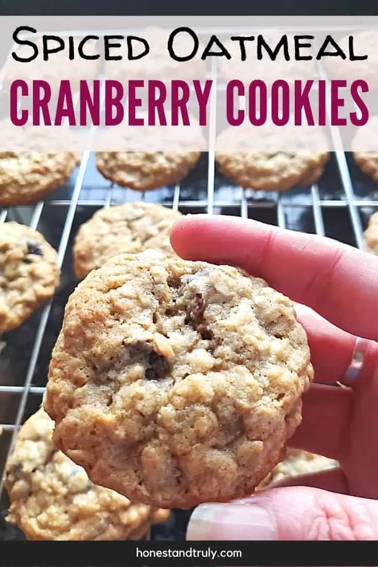Close up of a cranberry cookie over a wire rack