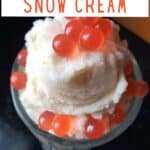 Close up of snow cream with boba and text 5 minute snow cream.
