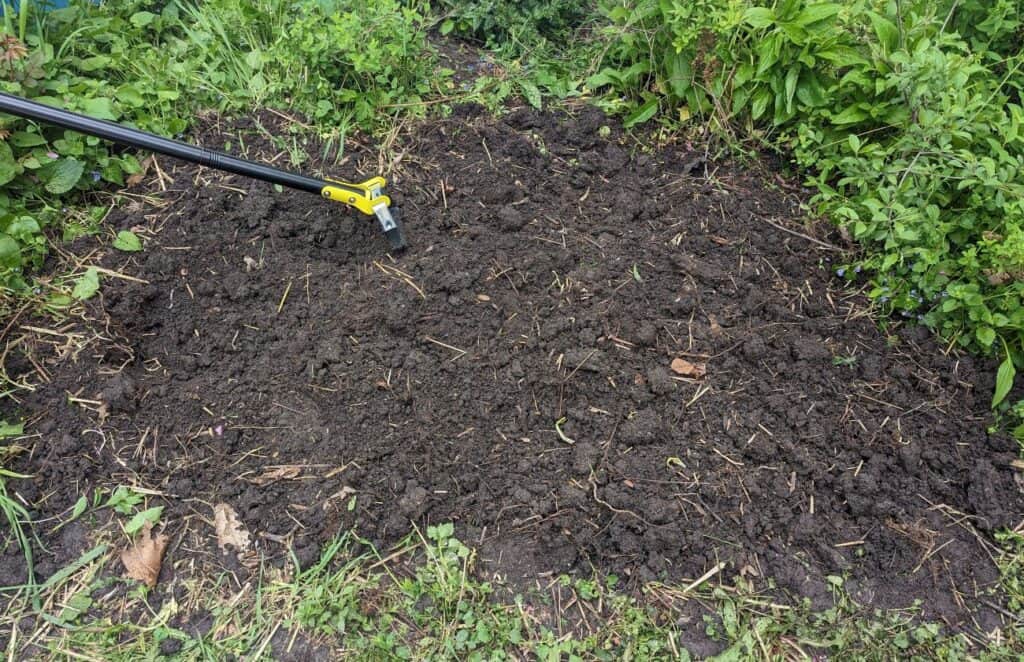 Removing weeds with a hoe.
