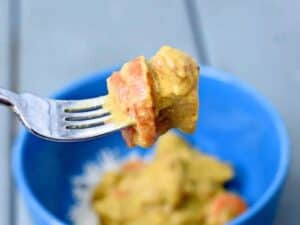Image shows a small portion of instant pot chicken curry on a fork.
